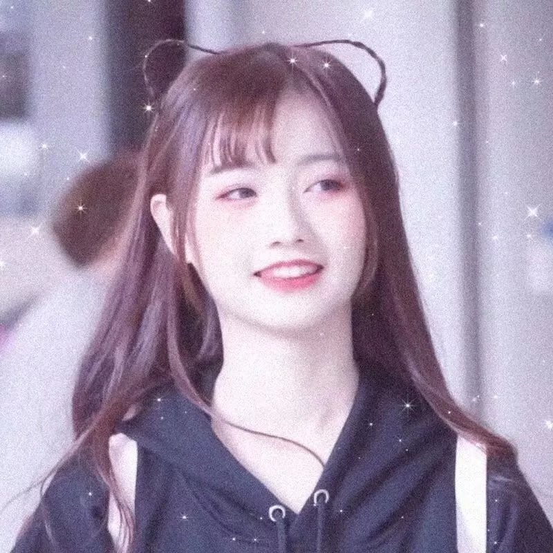 红衣主教